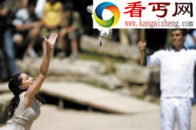 鸽子脑中有GPS定位功能 神经元中含磁场编码 