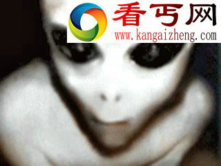 俄空中交通指挥员UFO中发现说猫语的外星人