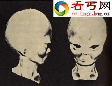 俄空中交通指挥员UFO中发现说猫语的外星人