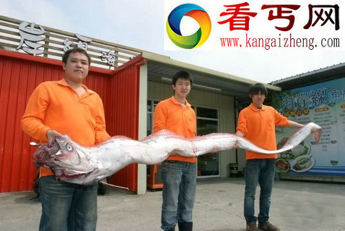 台湾近海惊见巨型地震鱼 民众忧心可能发生大地震