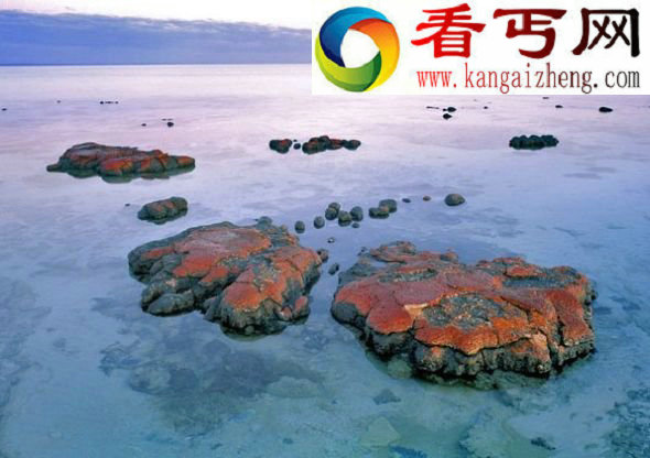 寻找外星生命9大热区