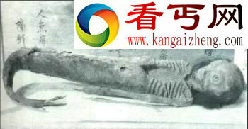惊现真实美人鱼尸体美丽还是恐怖