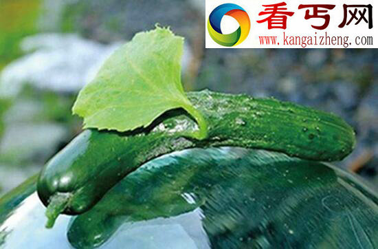 日本变异蔬菜长相畸形，核辐射导致蔬菜变异请勿食用(组图)