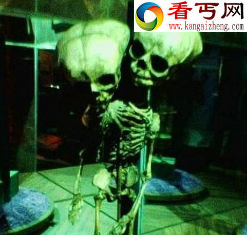 泰国恐怖博物馆，恐怖程度爆表“信不信由你”
