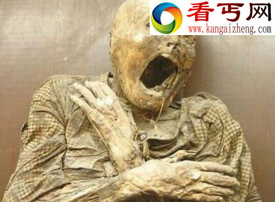 泰国恐怖博物馆，恐怖程度爆表“信不信由你”
