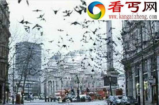 龙卷风沙尘暴算什么，你见过鱼雨吗
