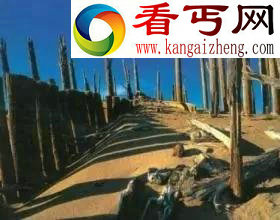 中国最神秘事件罗布泊双鱼玉佩