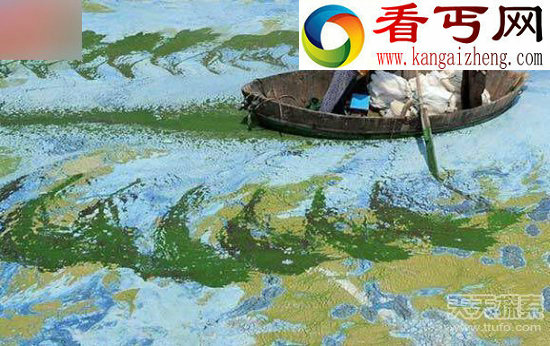 世界上那些真实存在的神奇图片
