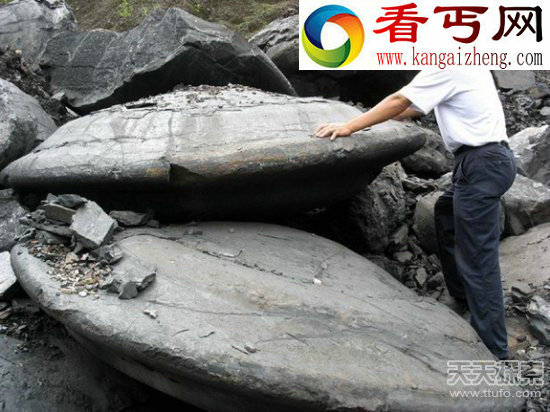 有图有真相！女子飞机自拍照惊现外星人