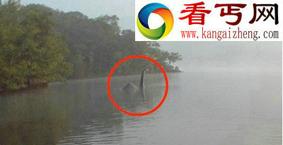 疑似外星人的巨头干尸 外星或存智慧生物