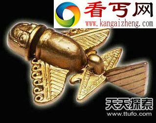 曝光55年前美国活捉外星人照片