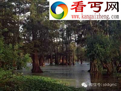 世界上最恐怖的地方 没胆千万别去