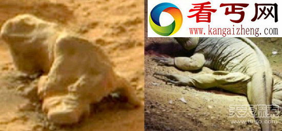 退役军官曝UFO坠毁现场亲见外星人