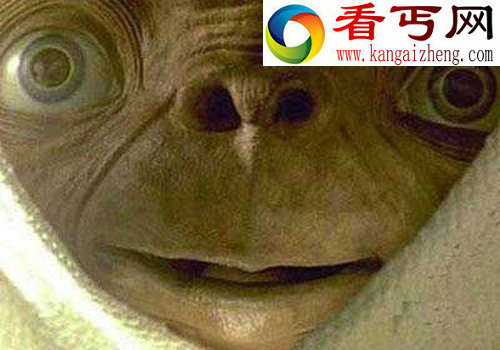  外星人不愿于人类交往  不予理睬人类发送的信息
