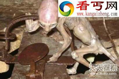 太空中有翼巨型生物 外星人存在铁证
