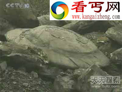 煤矿挖出UFO化石 外星人造访