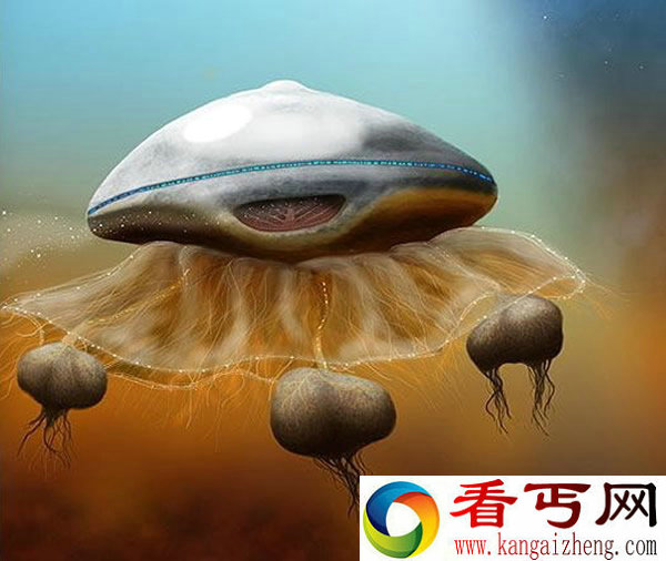 很可能外星人存在的 像巨型水母一样