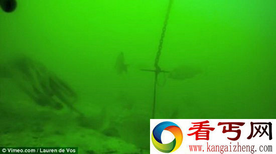 神秘海盗章鱼偷走科学家海底诱饵笼
