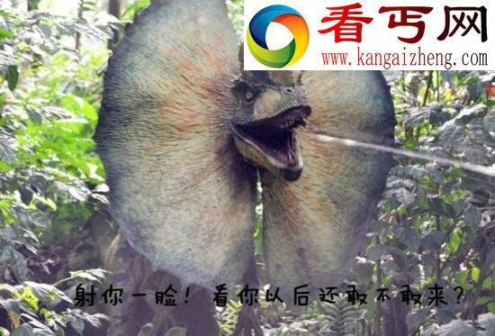 侏罗纪双脊龙，能喷射毒液的食腐恐龙