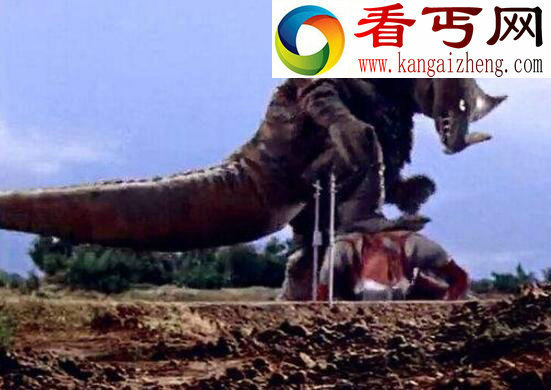 生命力最强的怪兽,古代怪兽哥莫拉(切断尾巴仍暴走)