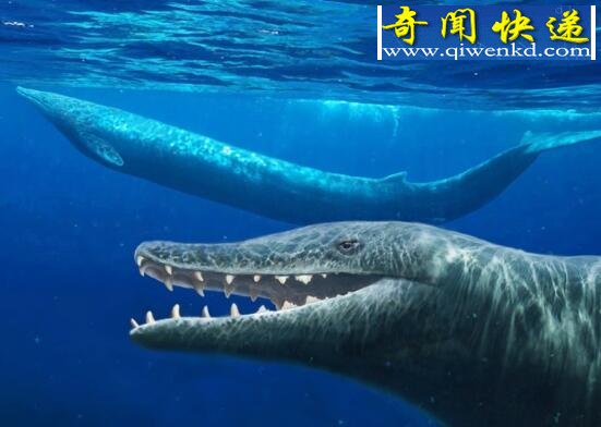 世界上最早的鲸鱼，古蜥鲸(祖先生活在树上)
