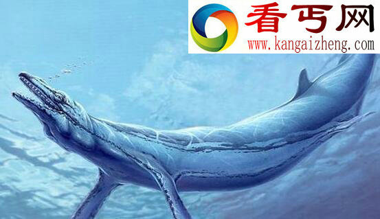 世界上最早的鲸鱼，古蜥鲸(祖先生活在树上)