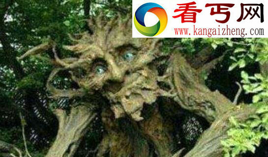 盘点世界上有趣的植物,香肠树形似男人的阳具(能吃)