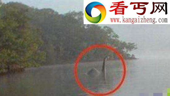 揭开加拿大水怪奥古布古之谜,真实面目疑似黑色海蛇