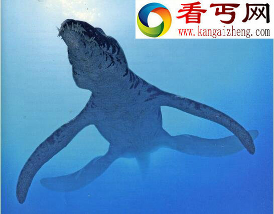 侏罗纪“妖怪”上龙,远古海洋的最高统治者