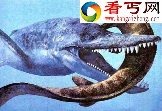 侏罗纪“妖怪”上龙,远古海洋的最高统治者