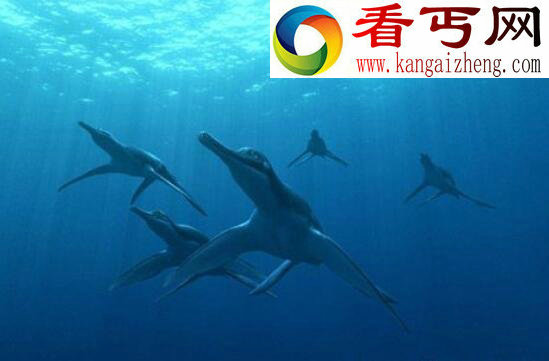 侏罗纪“妖怪”上龙,远古海洋的最高统治者