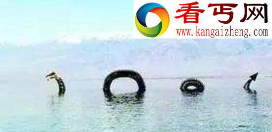 揭开加拿大水怪奥古布古之谜,真实面目疑似黑色海蛇