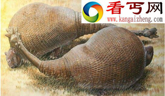 最怪异的史前巨兽,“铁甲武士”雕齿兽(已灭绝万年)