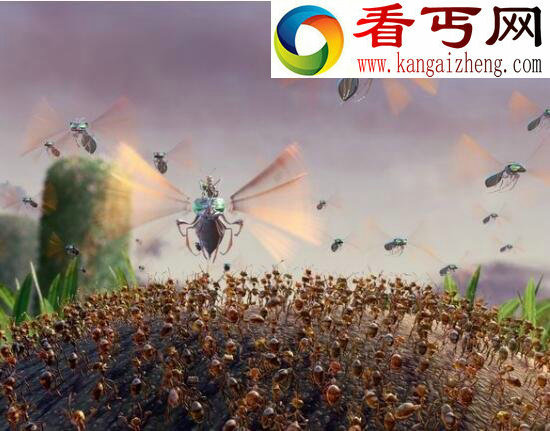 爆炸蚂蚁,自杀式蚂蚁炸弹(守护族群)