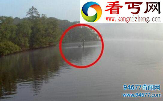 盘点世界十大未知生物，神秘的尼斯湖水怪蜥蜴人