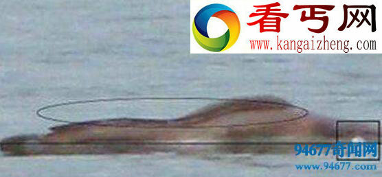 揭开湖光岩水怪之谜,水怪疑为大型淡水鱼
