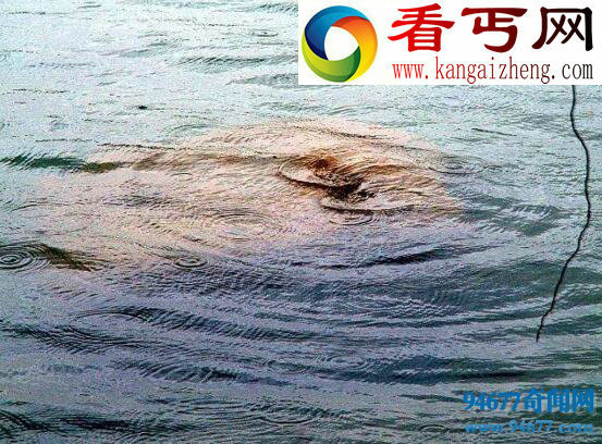 揭开湖光岩水怪之谜,水怪疑为大型淡水鱼