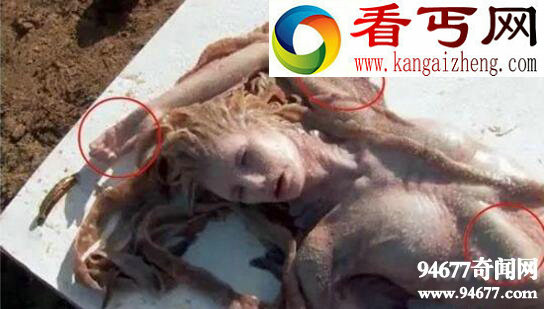 黑鳞鲛人，生存在南海的美人鱼