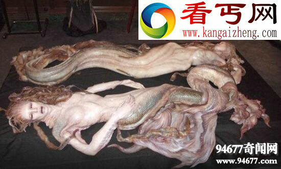 黑鳞鲛人，生存在南海的美人鱼