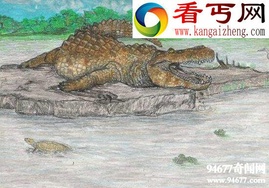 普鲁斯鳄,史上第二大的魔鬼巨鳄(没有天敌)