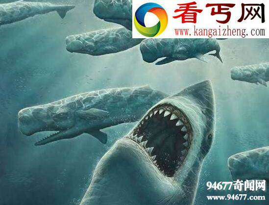 史前巨兽，巨牙鲨因体型太大灭绝(曾称霸海洋)