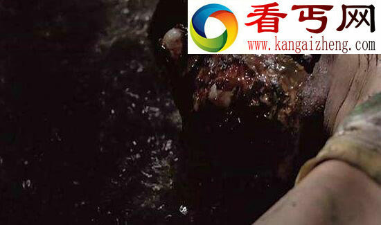 世界上最恐怖的鬼片，能吓死人的十大恐怖片