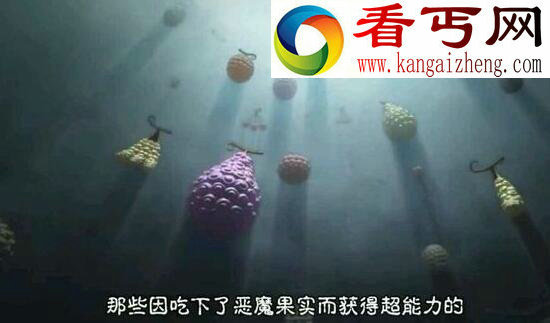 海贼王恶魔果实图鉴,史上最全恶魔果实详解