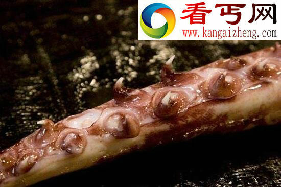 世界上最大的无脊椎动物,大王酸浆鱿(海怪原型)