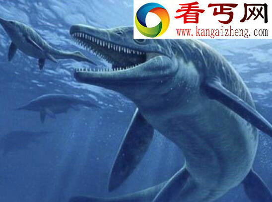 世界上最大的鱼,利兹鱼(长达16.5米/21.5吨已灭绝)