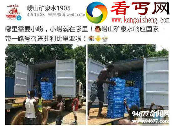 崂山白花蛇草水,最难喝的极品(终生难忘)