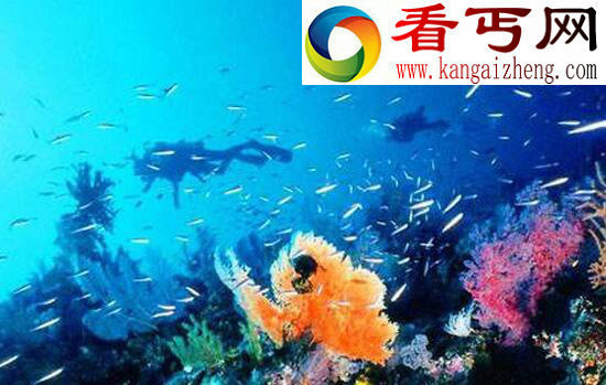 世界上最大的海，珊瑚海(面积479.1万平方千米)