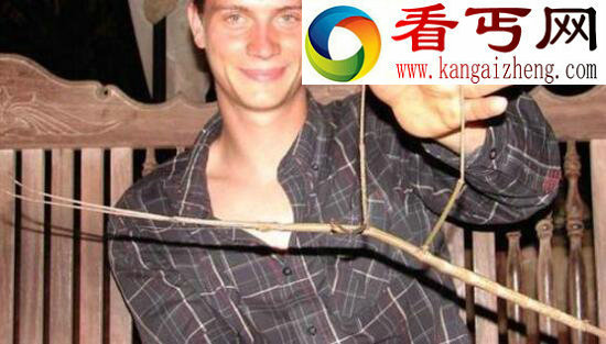 全球十大巨型昆虫，巨骆驼蜘蛛捕食蜥蜴竟会被噎死