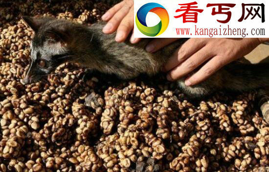 全球十大恶心食品，中国皮蛋当选挑战你的味觉极致