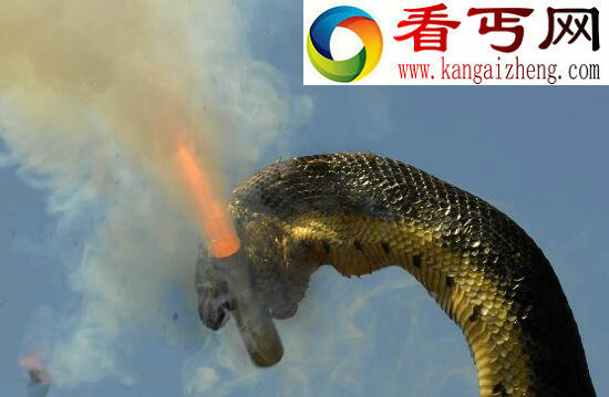 世界上最大的蛇，红海巨蛇据传长500米(虚假骗局)